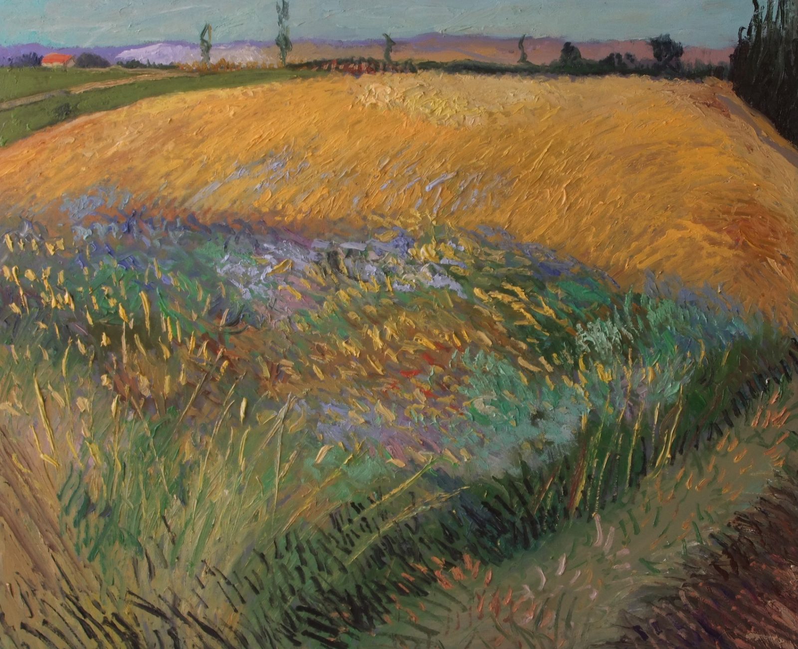 Campo di grano di Vincent Van Gogh — falso d'autore dipinto a mano da Emilio Ventura, Olio su tela, 54x65 cm